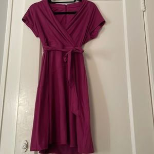 Ellen Tracy size 2P berry colored suede dress